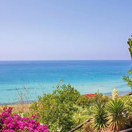 Holiday home 1 Bedroom Pet Friendly In Zambrone Zaccanopoli